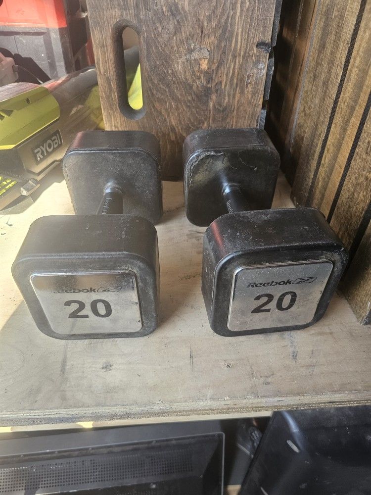 Dumbbell 20 Lbs 
