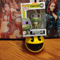 Donatello Teenage Mutant Ninja Turtles Funko Pop 