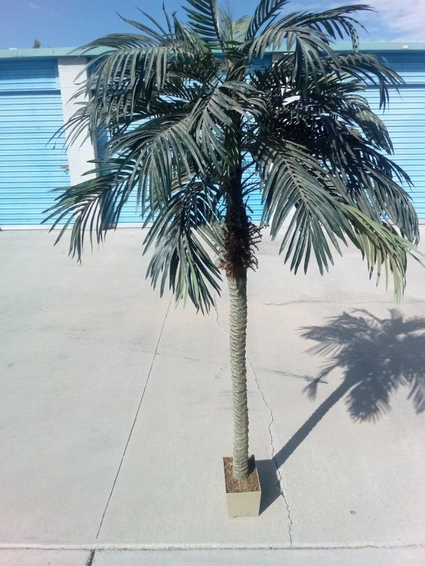 Palma Artificial $40