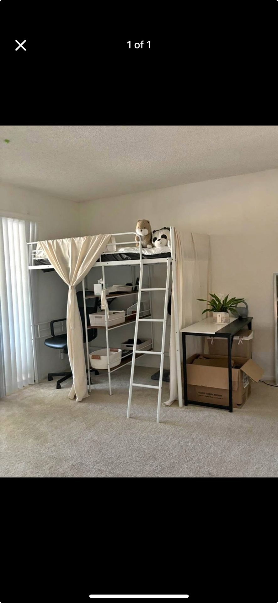 Twin Loft Bed