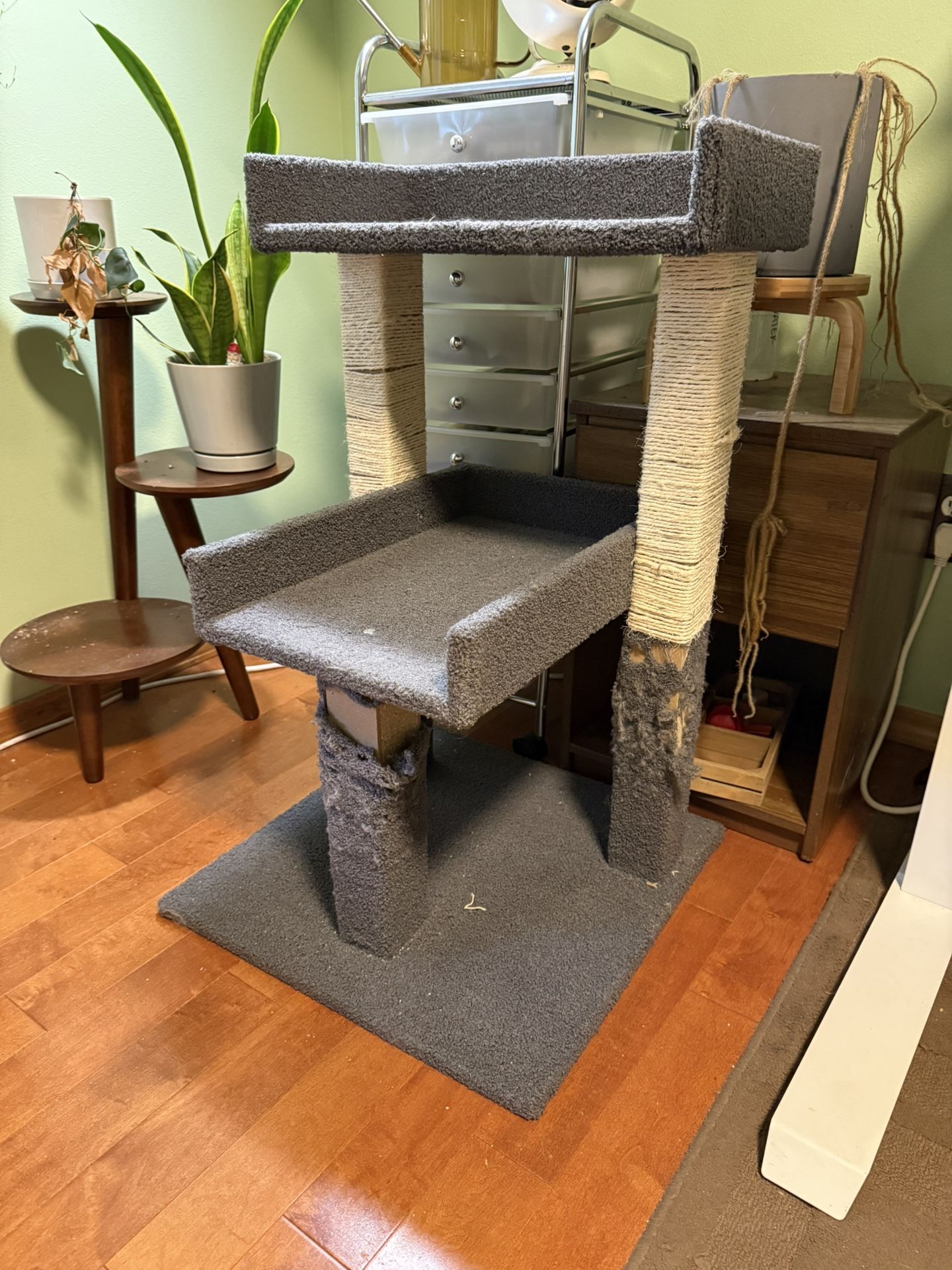 Free Cat Tree