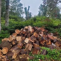 Firewood Rounds 1/2 Cord