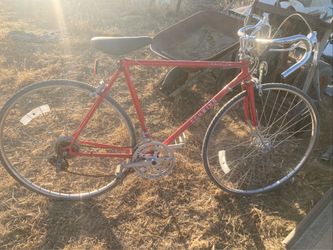 Schwinn 10 speed