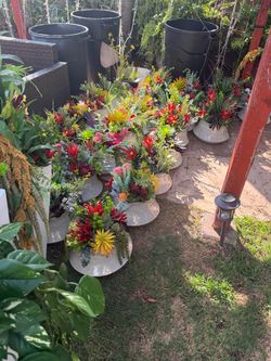 Center pieces