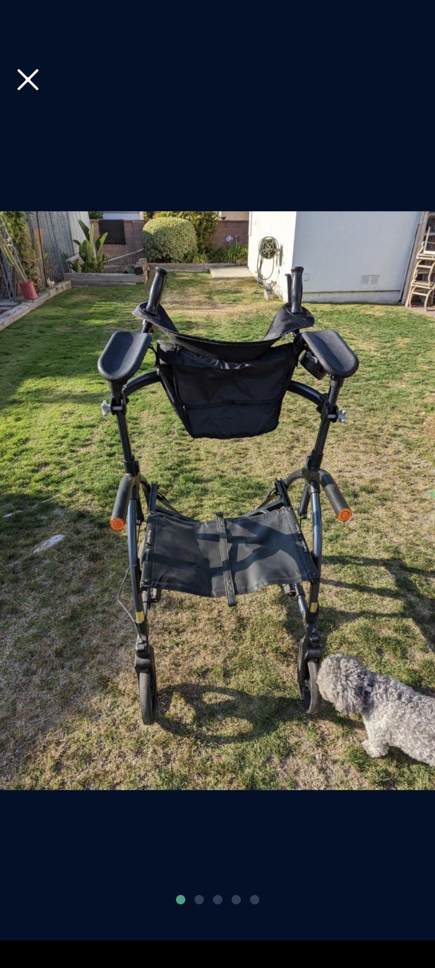 Adult Stand Up Walker