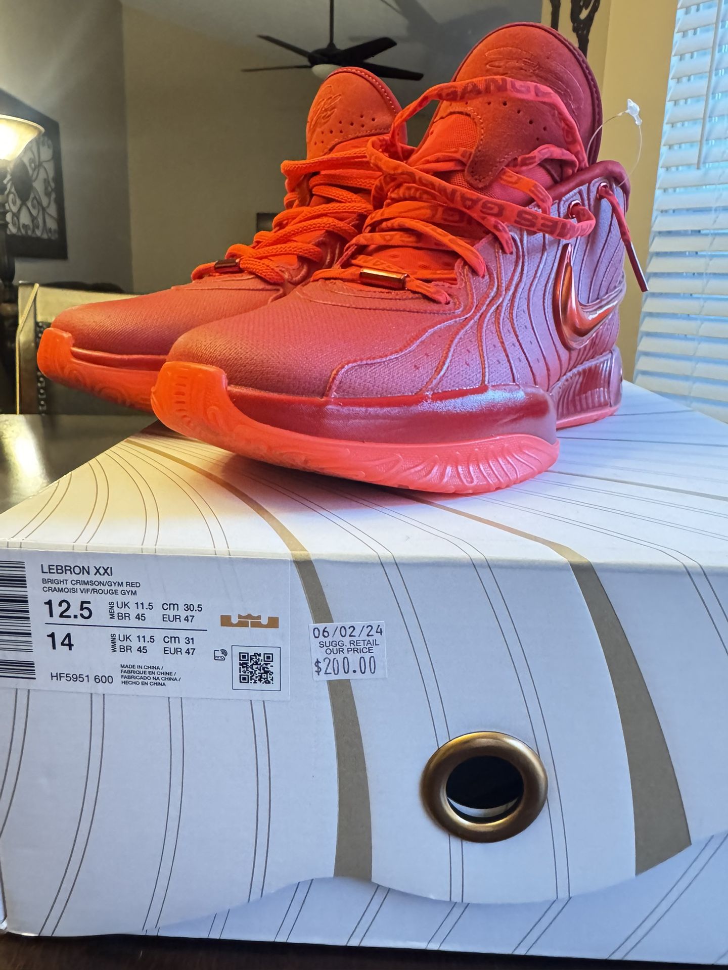 Lebron XXI