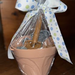 New Dinosaur Silicone Beach 6 Pc Gift Set