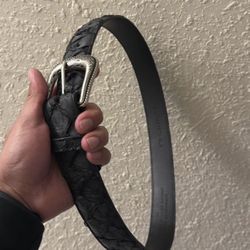 Size 34 Pirarucu Belt 