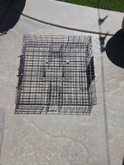 Trampa para ratas