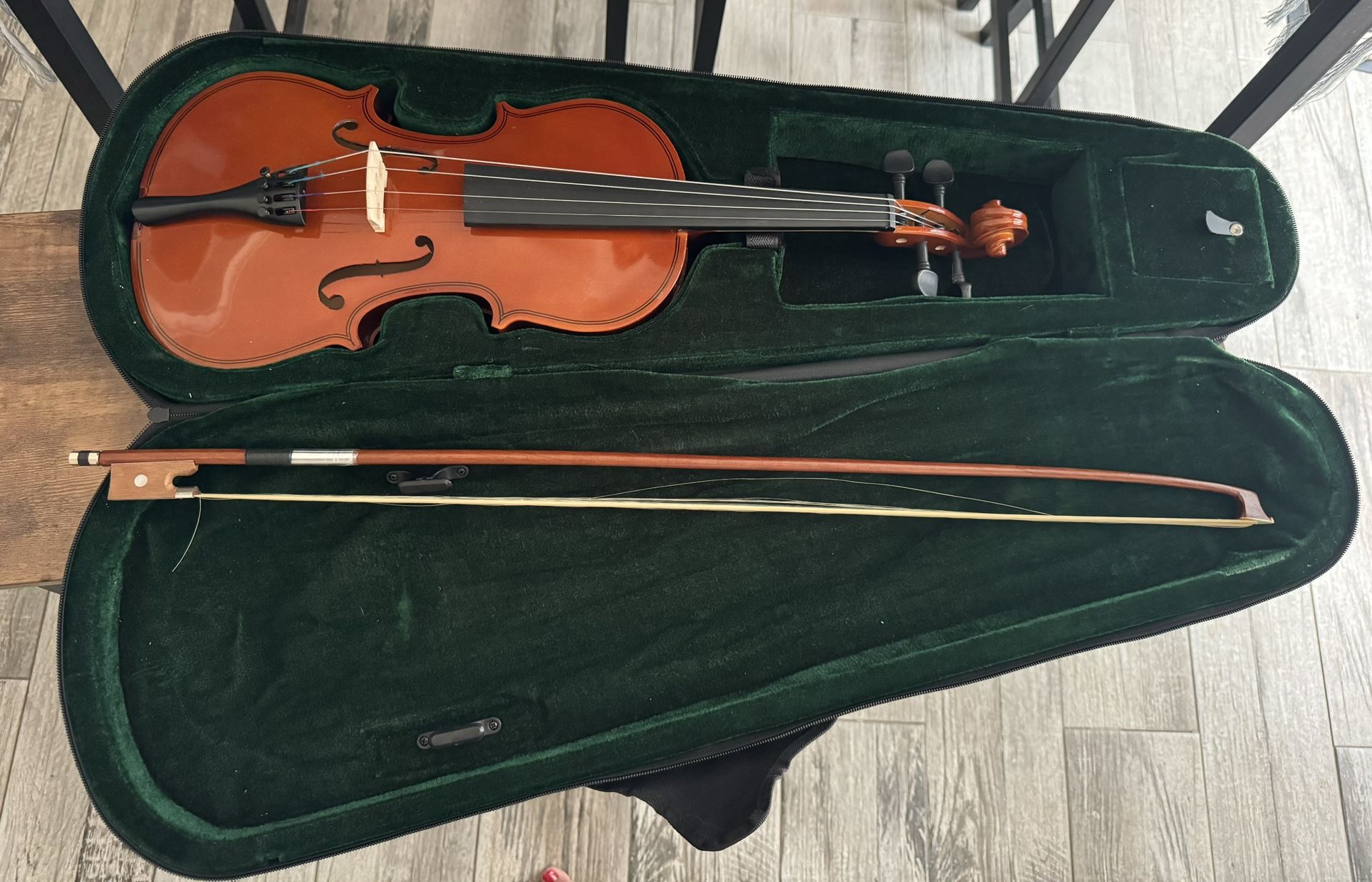 Violin