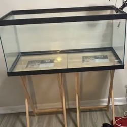 40 Gallon Tank