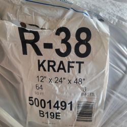 R-38 Faced Insulation 