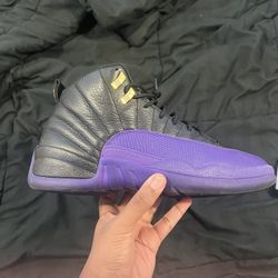 Jordan 12 Size 11