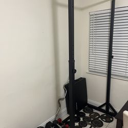 Pull Up Bar, Curl bar, Weights, Plates, Dumbbells 