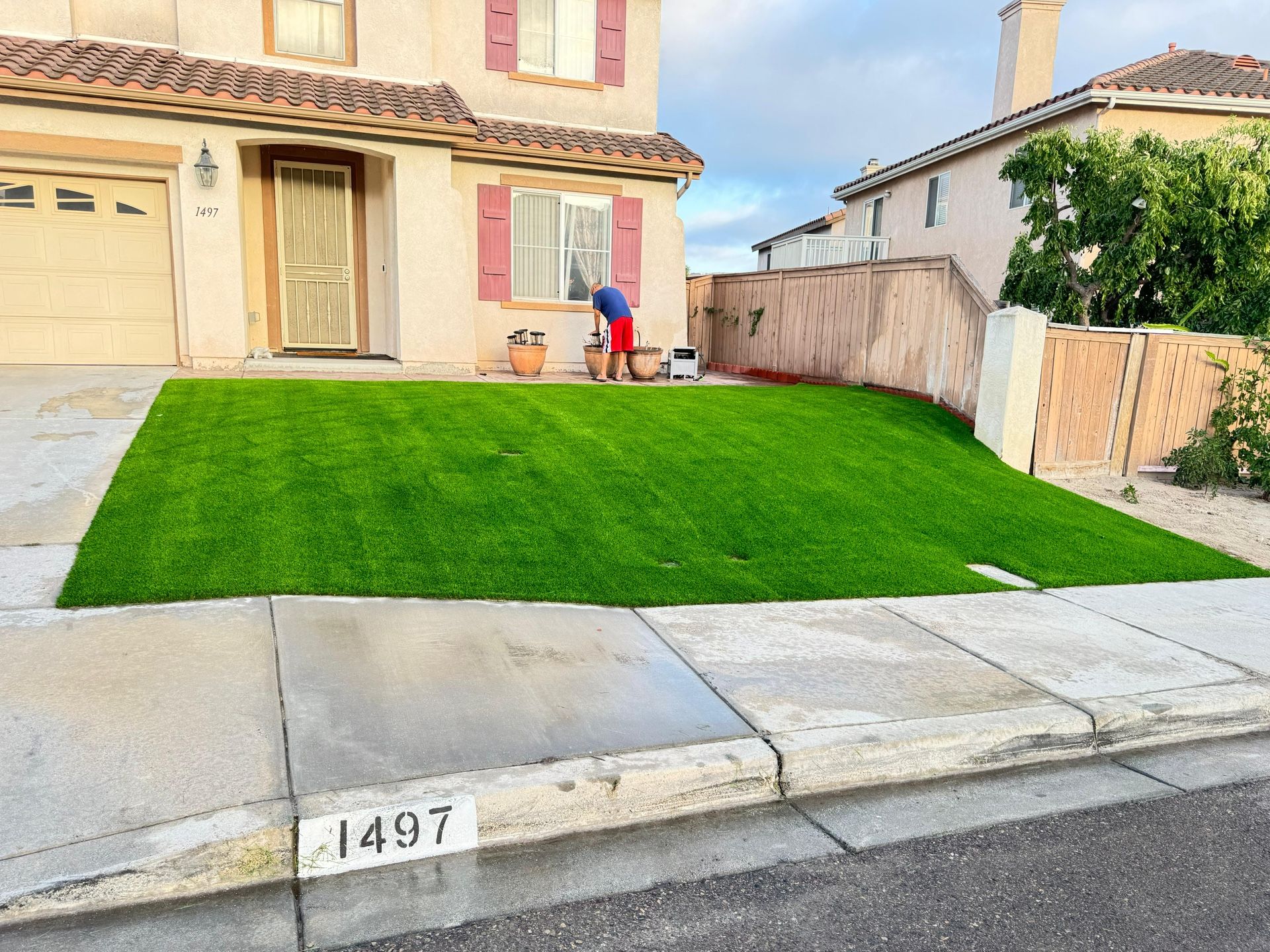Artificial Grass