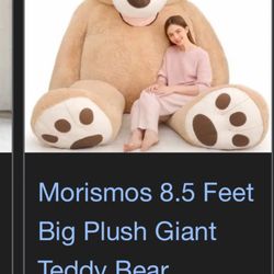 Giant Teddy Bear 