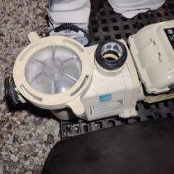 Pentair Pool Pump