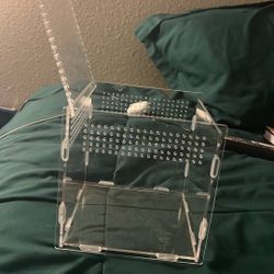 Acrylic Enclosure For Pet (Jumping spider)