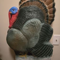 Turkey Blow mold
