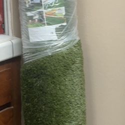 Artificial Grass 