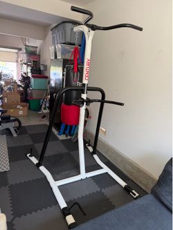 Century punching bag and pull up station