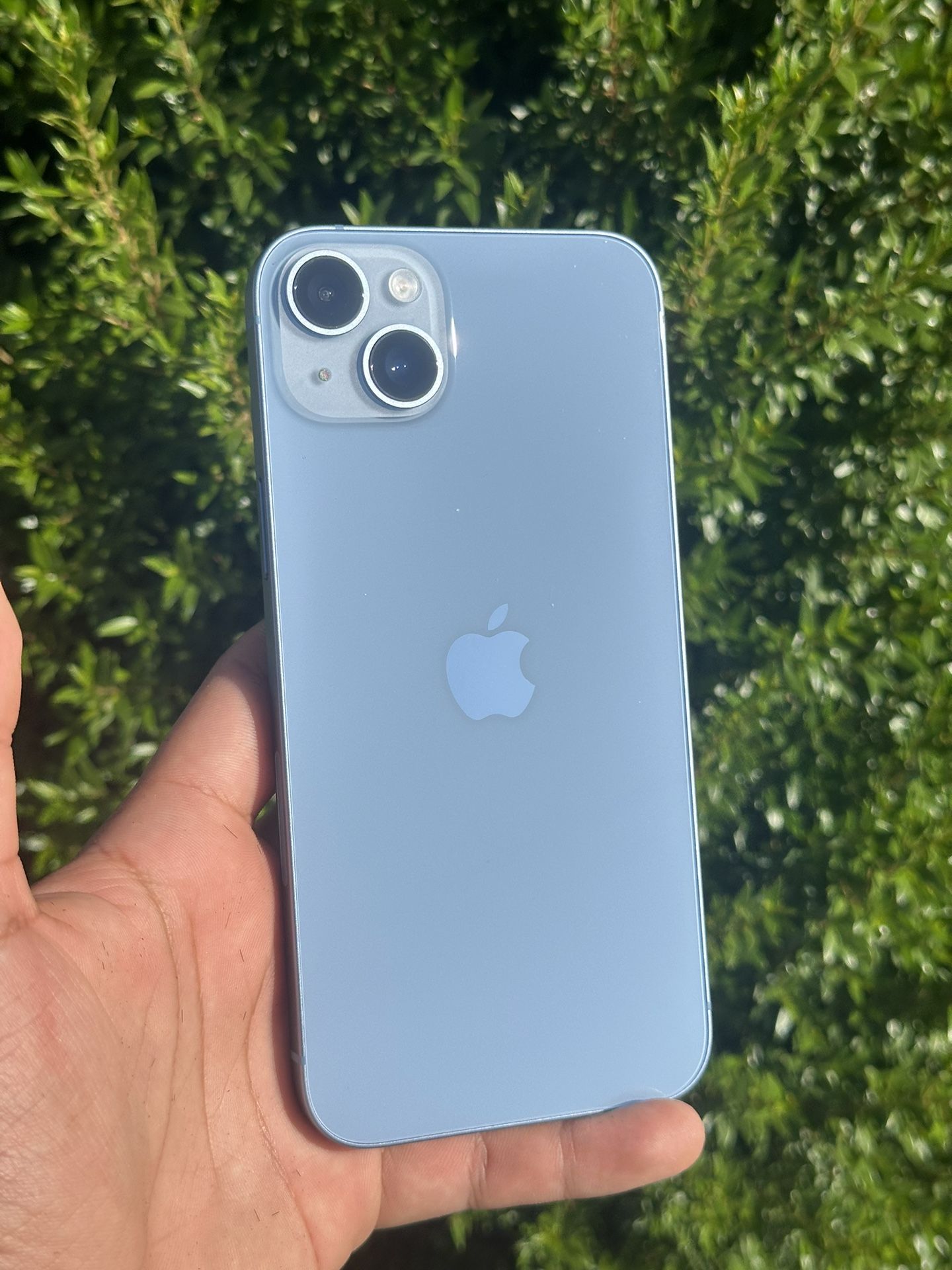 iPhone 14 Plus - MINT | 97%🔋 Unlocked