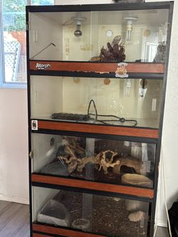 Reptile Enclosure
