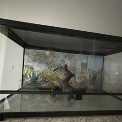 40 Gallon Terrarium 