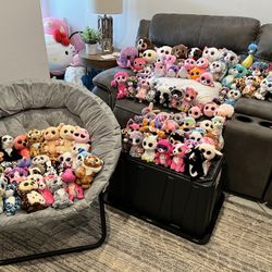 Huge Beanie Boo Collection