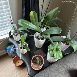3 living room/coffee tables