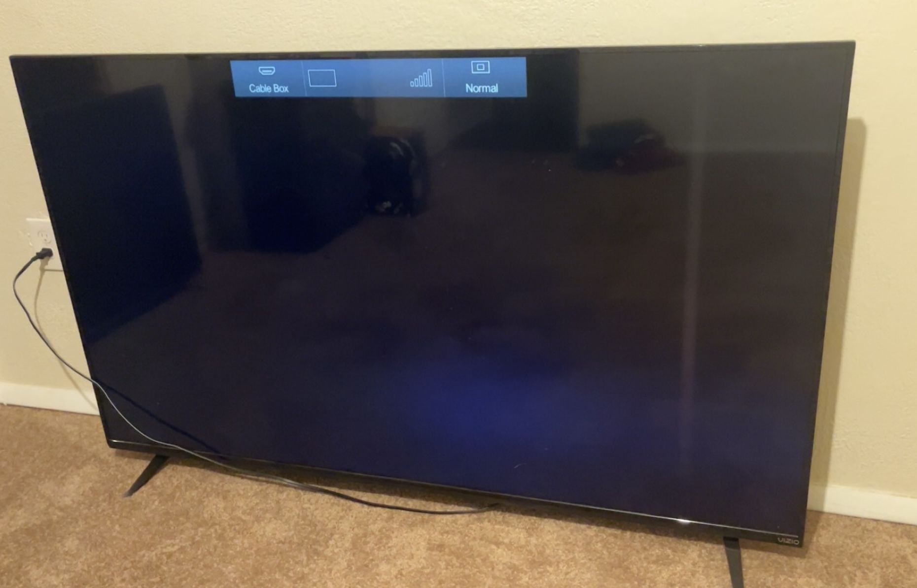 Vizio 65” TV