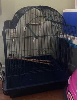 Bird Cage