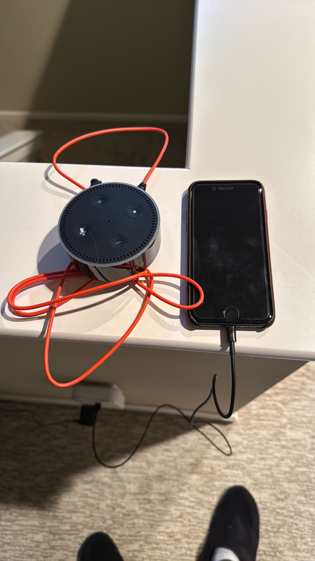 iPhone 8, 64GB And Alexa/Echo. 120 Dollars For The Bundle
