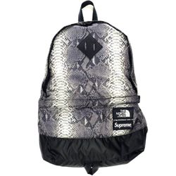 Supreme x The North Face Backpack 
