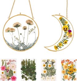 Double Glass Frame for Pressed Flowers - w/Real Dried Flowers and Tweezer  New