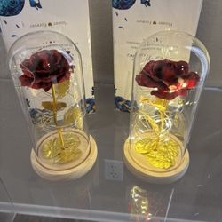 Light Up Roses Flowers in Glass Dome