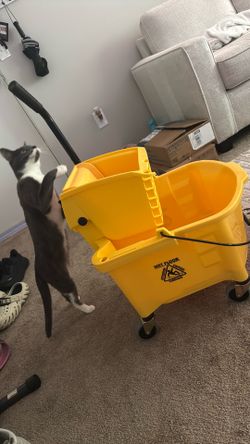 New in box commercial grade mop bucket.