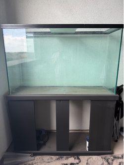 100 gallon fish tank