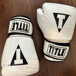 Title Boxing Gloves