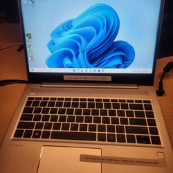 Hp Probook 445 G8 Laptop 
