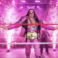 WWE Elite / Ultimate Collection : Bret Hart Action Figure 