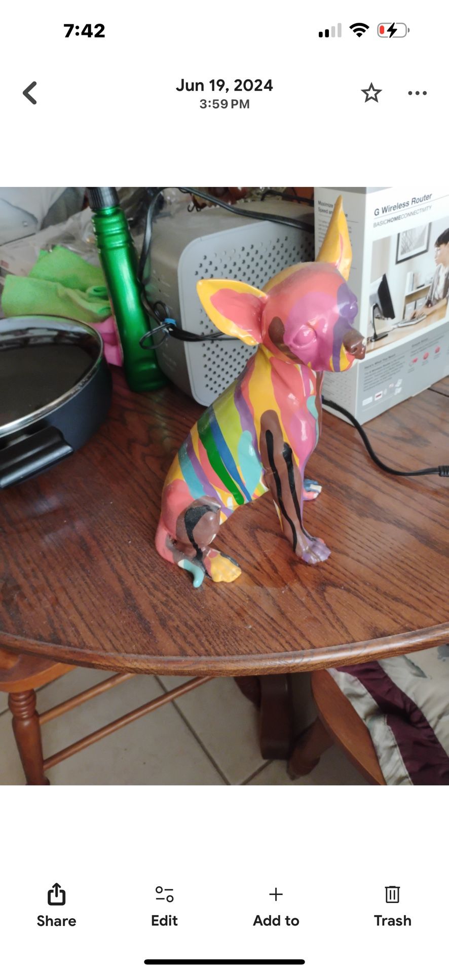 Interior Illusions Plus Chihuahua 10”  Tall
