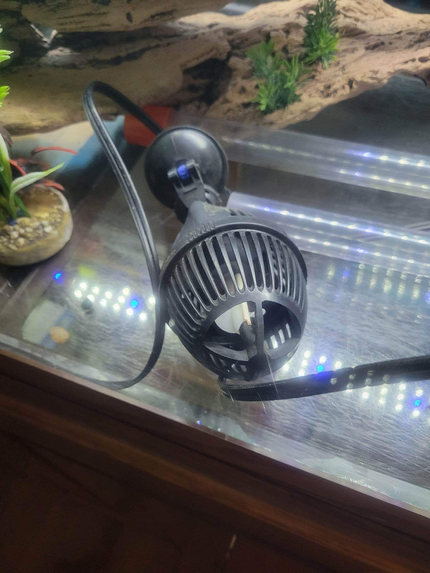 75 Gal Fish Tank W Accessories