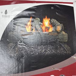 Pleasant Hearth 18in 30000-BTU Dual-Burner Vent-Free Gas Fireplace Logs,  Only 2 Left 