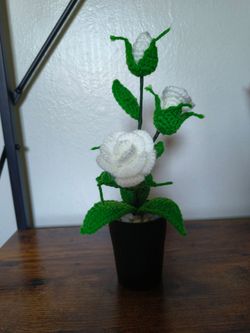 $20 Rosas tejidas a crochet perfecta para El dia de las mamàs