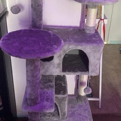 Cat Tree Brand New In Boxs