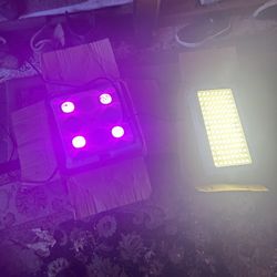 LED Grow Light 