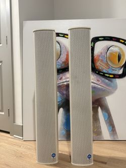 PROFESSIONAL SPEAKERS – Renkus-Heinz Iconyx IC8-R-II (PAIR)