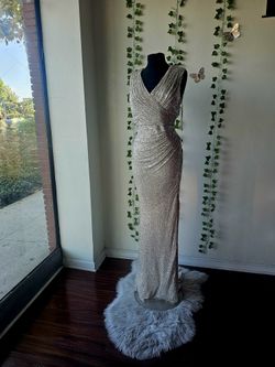 Champagne  evening  dress / SIZE 12 / Wedding / Mothers / party / platinum / formal dress
