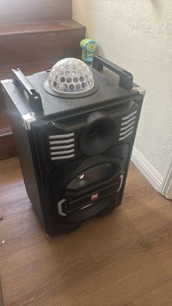 Party speaker